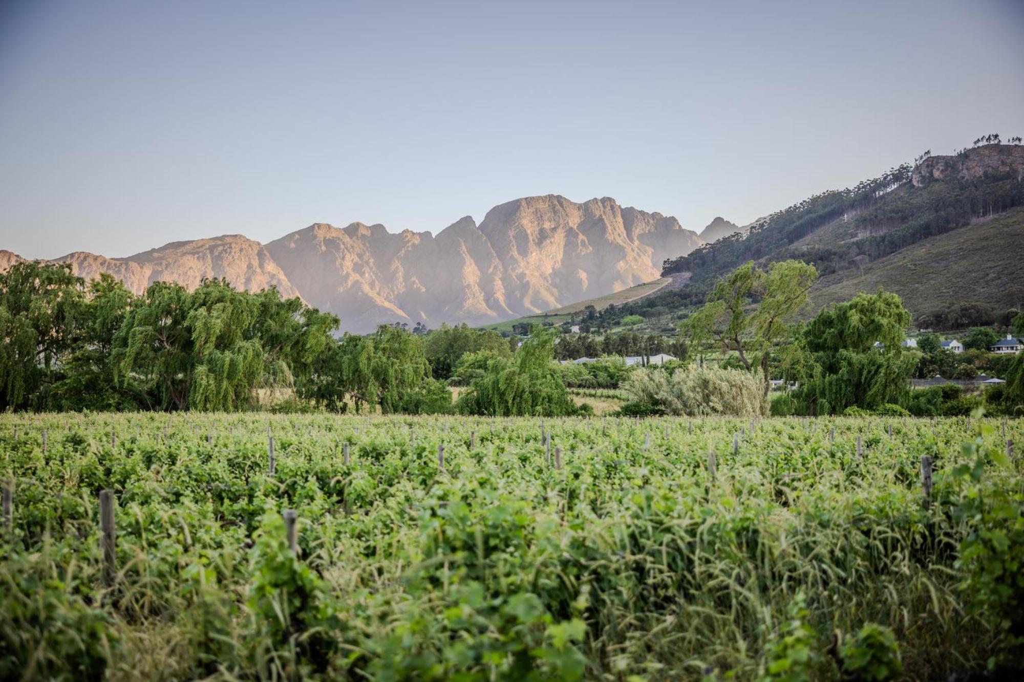 Grande Provence Franschhoek Exterior foto